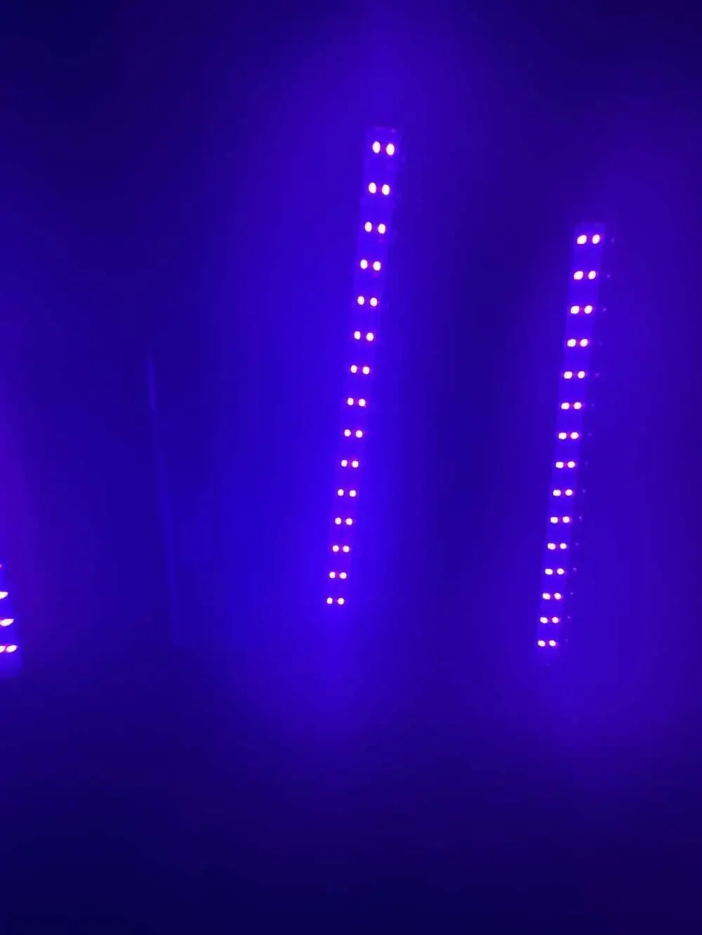 EcoSmart LED Black Light and Purple Flood Light Bulb Bundle with UV LED Bars